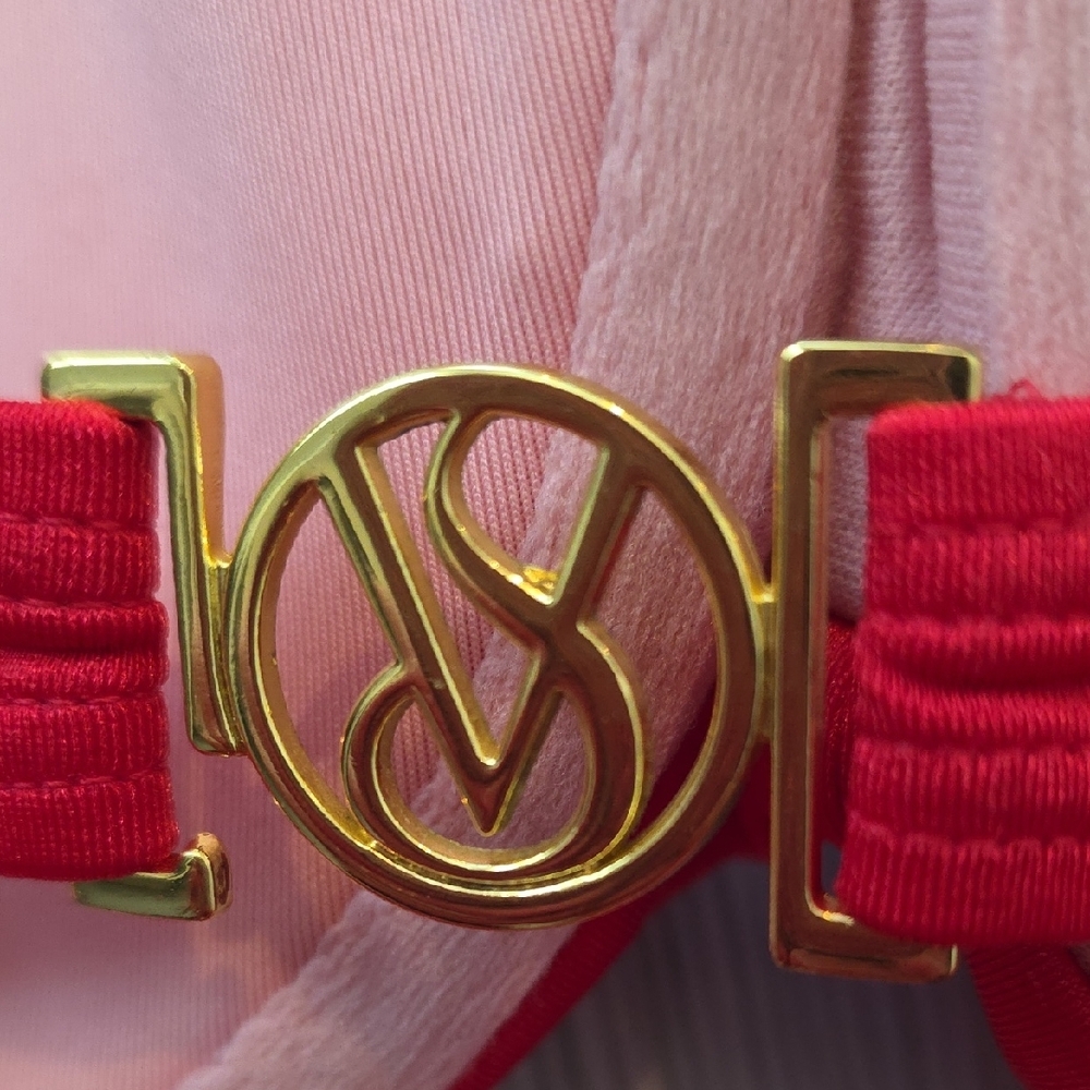 Victoria's Secret Red Bikini with Gold Ring Detail - Picture 6 of 6